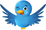 Twitter-bird-2